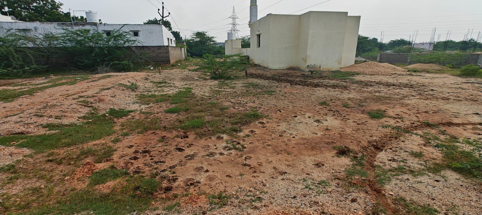 Kothur plot front view