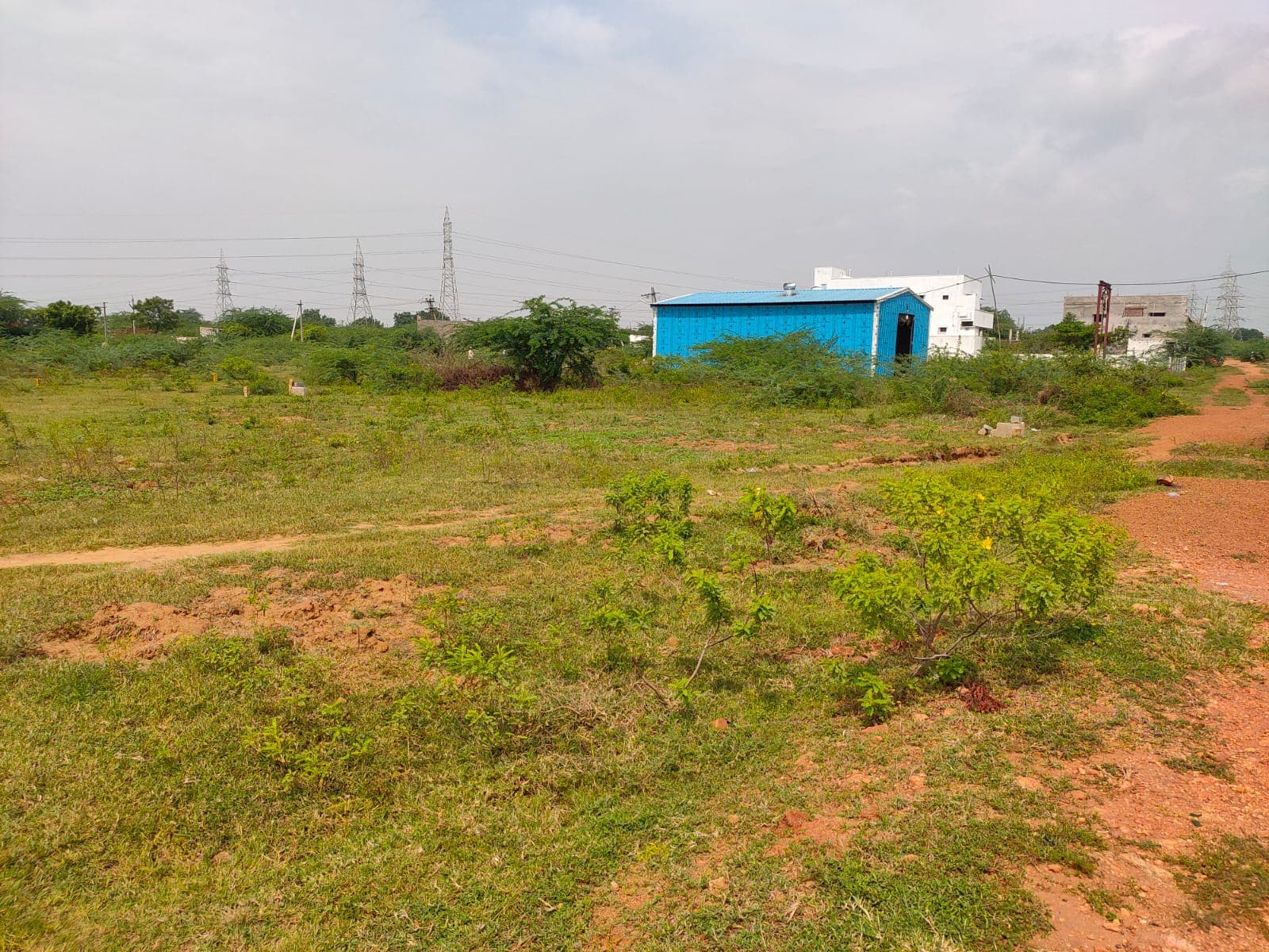 Tirumala Nagar Layout Plot View 1