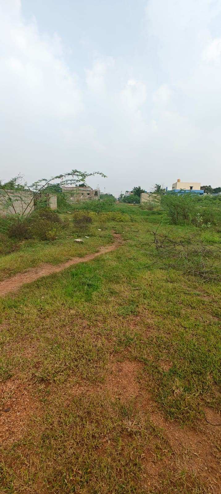 Kothur plot surrounding view 1