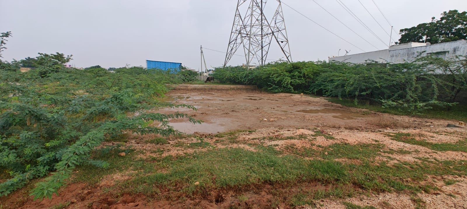 Kothur plot surrounding view 2