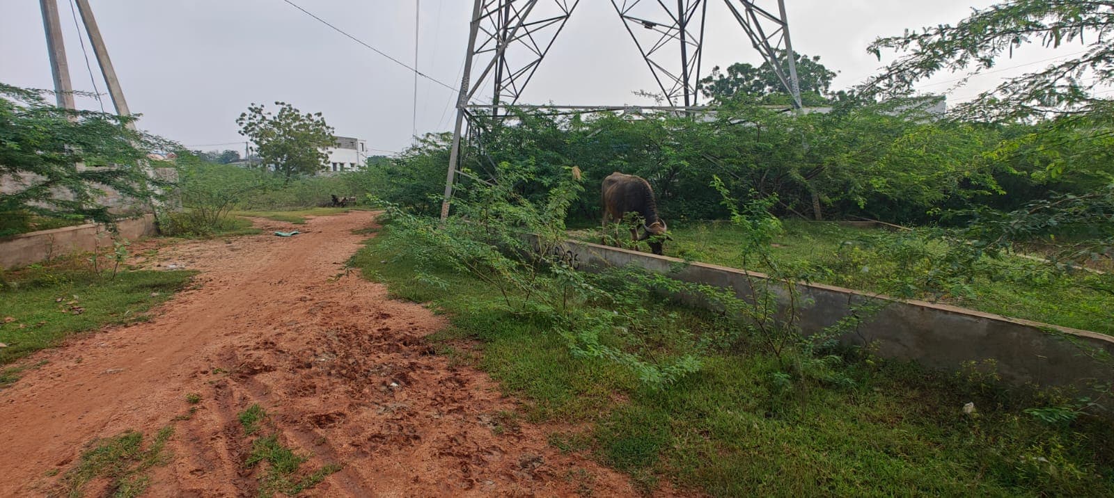 Kothur plot surrounding view 3