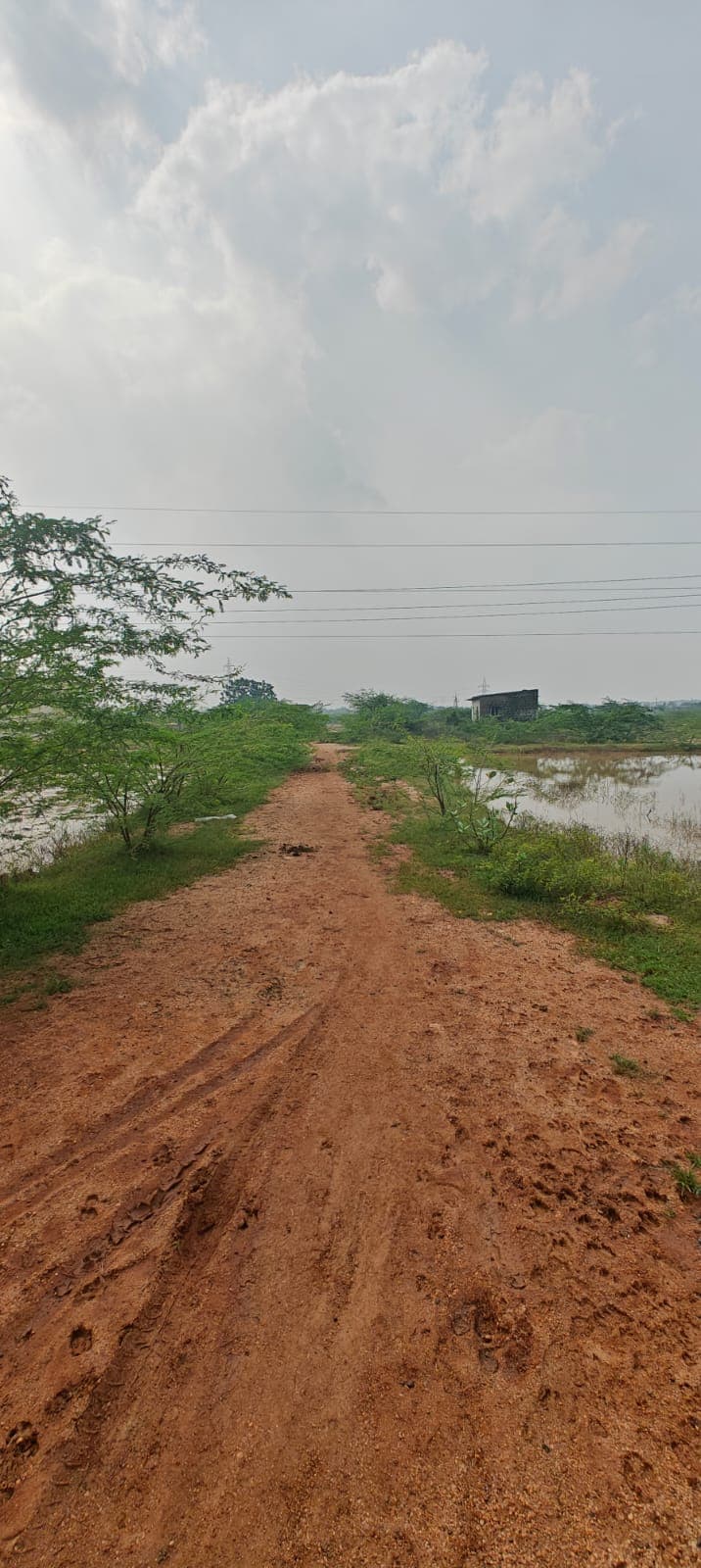 Kothur plot road view 2